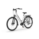 Električno kolo Ecobike LX100
