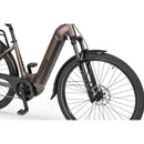 Električno kolo Ecobike LX300 900Wh, L-19", Onyx