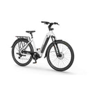 Električno treking kolo Ecobike LX300 900Wh