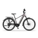 Električno kolo Ecobike MX300 19" 25Ah/900Wh Golden Grey-Wasup Slovenija