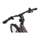 Električno kolo Ecobike MX300 19" 25Ah/900Wh Golden Grey-Wasup Slovenija