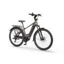 Električno kolo Ecobike MX300 19" 25Ah/900Wh Golden Grey-Wasup Slovenija