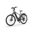 Električno kolo Ecobike MX300 19" 25Ah/900Wh Golden Grey-Wasup Slovenija