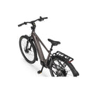 Električno kolo Ecobike MX300 19" 25Ah/900Wh Golden Grey-Wasup Slovenija