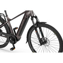 Električno kolo Ecobike MX300 19" 25Ah/900Wh Golden Grey-Wasup Slovenija