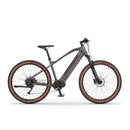 Električno MTB kolo Ecobike SX300