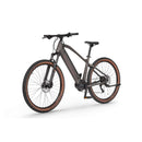 Električno MTB kolo Ecobike SX300