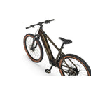 Električno MTB kolo Ecobike SX300 900Wh, 21", Forest-Wasup Slovenija