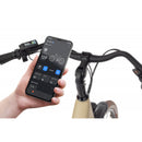 Električno Kolo Ecobike X-City Cappucino