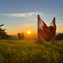 la Siesta Udine Toucan