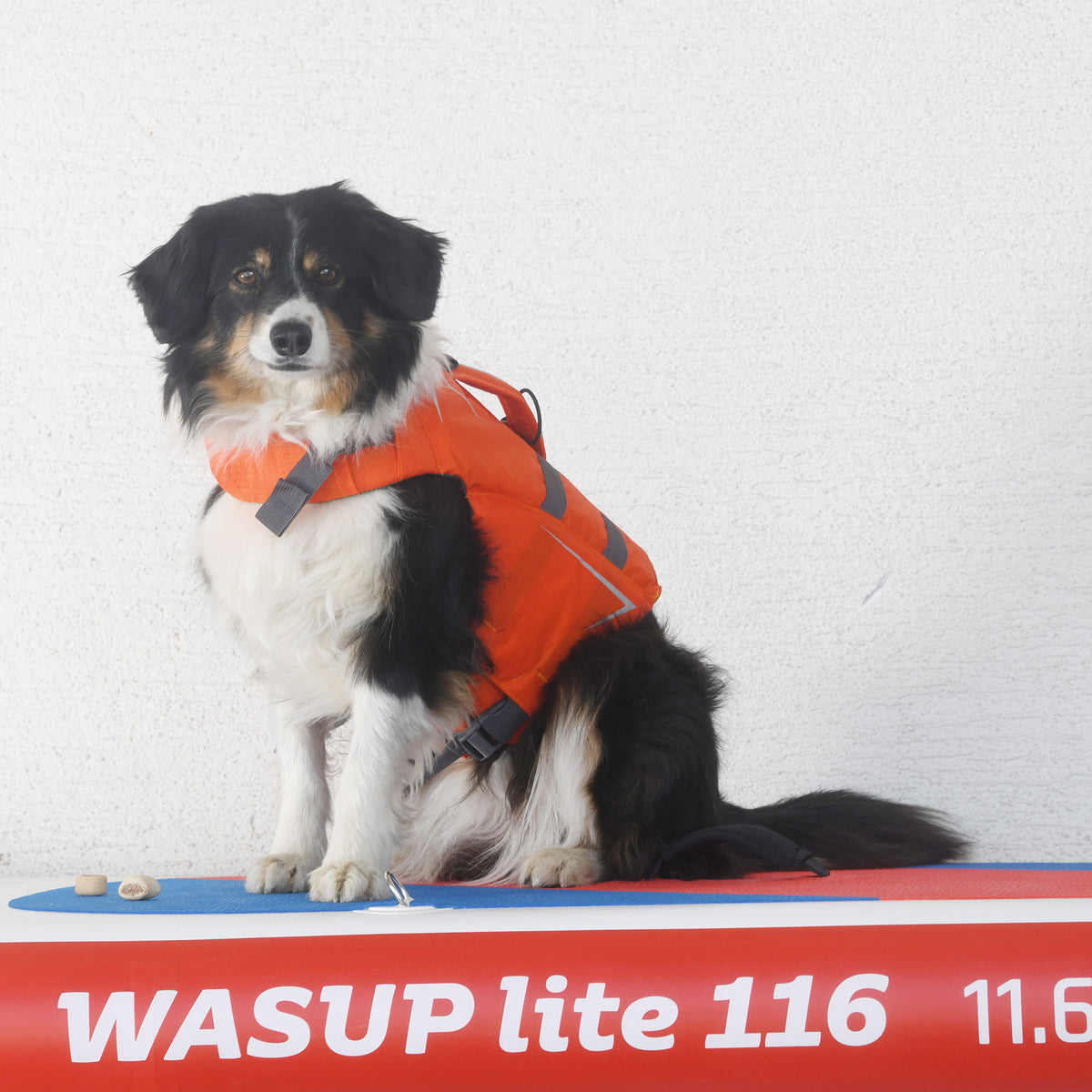 NRS CFD dog life jacket, orange XS-XL